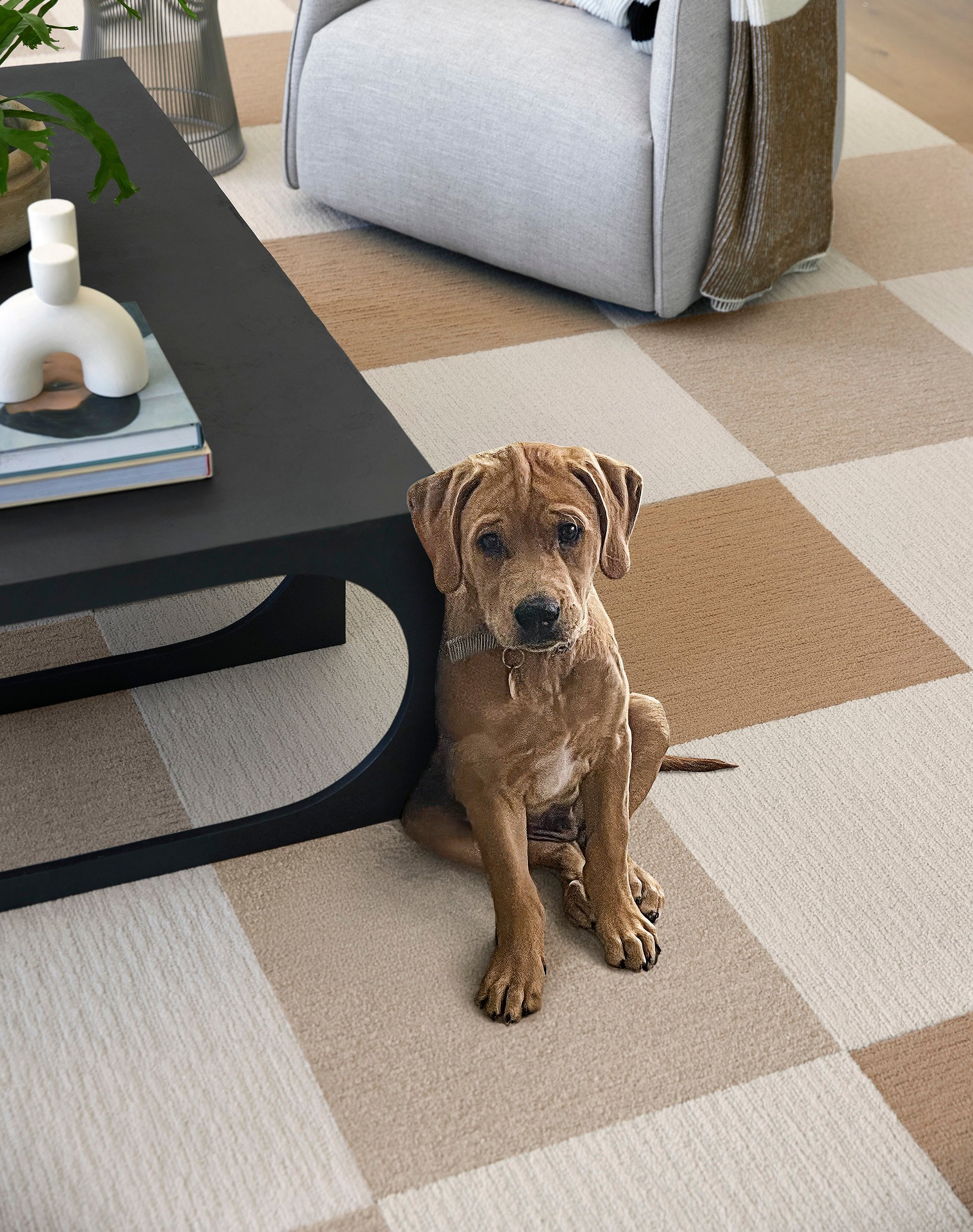 Two Step - Bone - 10x12: FLOR Signature Area Rugs by FLOR